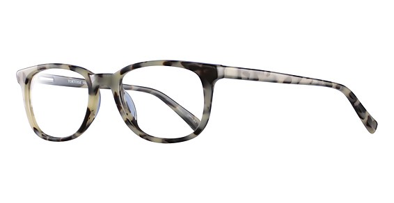COI Fregossi 449 Eyeglasses, Tortoise