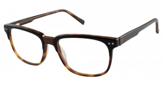 Ted Baker B892 Eyeglasses, Black Tortosie (BLK)