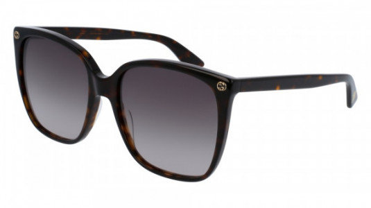 Gucci GG0022S Sunglasses, 003 - HAVANA with BROWN lenses