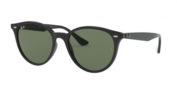 Ray-Ban RB4305 Sunglasses