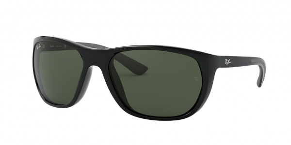 Ray-Ban RB4307 Sunglasses