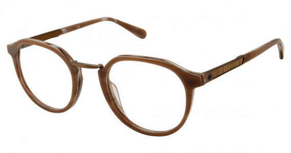 Sperry Top-Sider RIVERA Eyeglasses, C02 BROWN HORN
