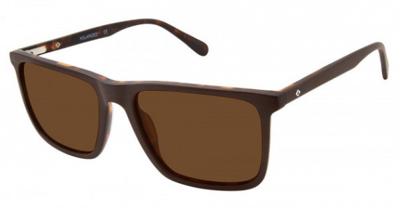 Sperry Top-Sider SOUTHPORT Sunglasses, C01 BROWN HORN (SOLID BROWN)