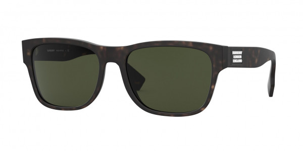 Burberry BE4309F CARTER Sunglasses