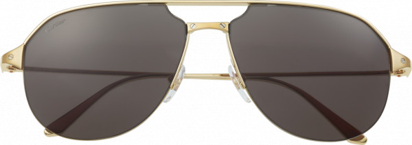 Cartier CT0229S Sunglasses