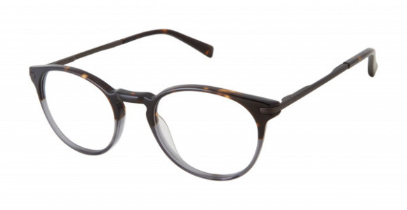 Ted Baker TFM006 Eyeglasses, Tortoise Grey (TOR)
