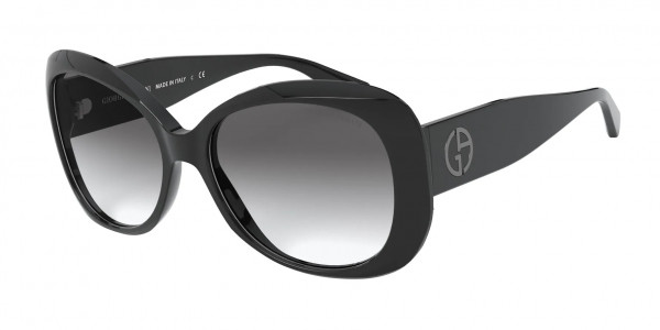 Giorgio Armani AR8132 Sunglasses