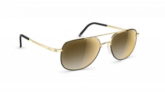 neubau Big Erwin Sunglasses, Glorious gold/black 7740
