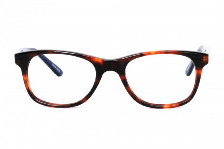 Windsor Originals ABBEYROAD LIMITED STOCK Eyeglasses, Demi Blue