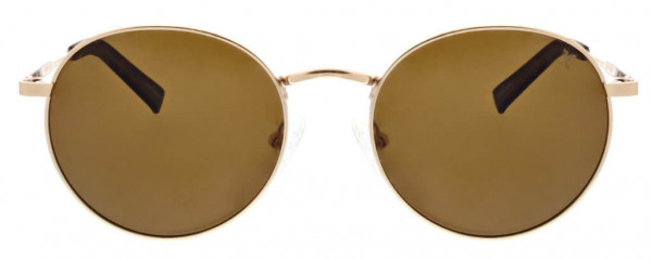 Hurley Big Timer Sunglasses, Shiny Gold/Brn
