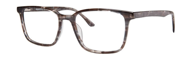 Esquire EQ1605 Eyeglasses, Grey Amber