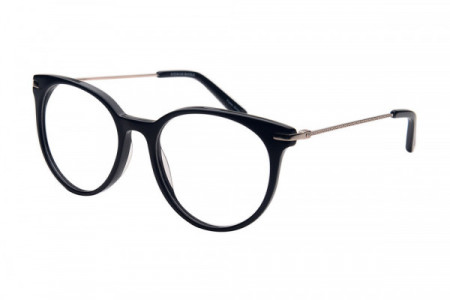 Amadeus A1010 Eyeglasses, Shinny Black