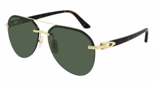 Cartier CT0275SA Sunglasses, 002 - GOLD with HAVANA temples and GREEN lenses