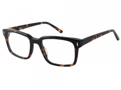 Amadeus A1046S Eyeglasses, Tortoise With Polarized Magnetic Clip-On Sunglasse
