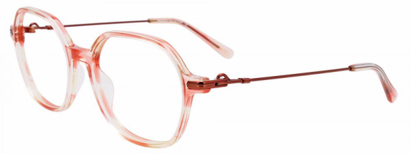 Paradox P5084 Eyeglasses, 010 - Lt Marsala & Champn/Sh Brn