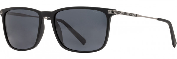 INVU INVU Sunwear 265 Sunglasses