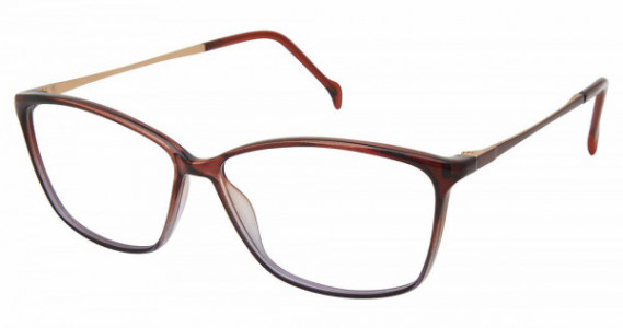 Stepper STE 30092 Eyeglasses, brown