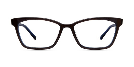 Modo 6619GF Eyeglasses, BROWN BLUE