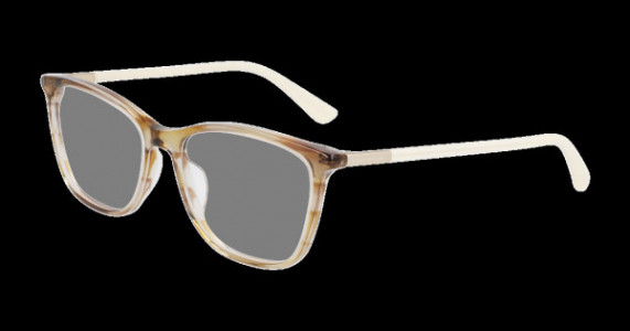 Cole Haan CH5053 Eyeglasses, 210 Brown Horn