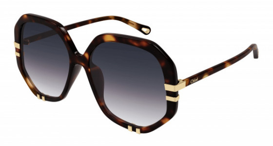 Chloé CH0105S Sunglasses, 004 - HAVANA with GREY lenses