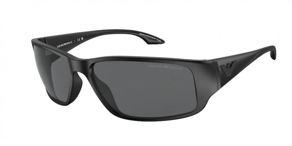 Emporio Armani EA4191U Sunglasses