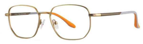 Staag SG-ARCHIE Eyeglasses, C1 (T) GOLD/BROWN