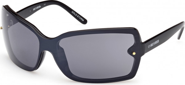 HD Z Tech Standard HZ0017 GOLDSTORM Sunglasses, 01A - Shiny Black / Shiny Black