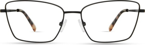 Derek Lam LANE Eyeglasses, BLACK TORTOISE