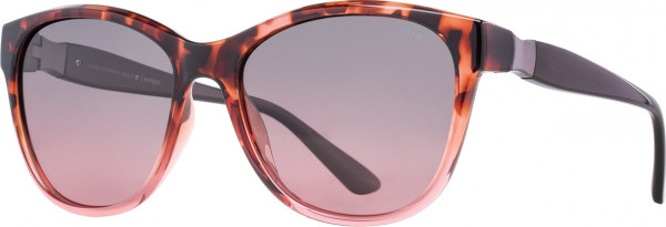 INVU INVU Sunwear 312 Sunglasses