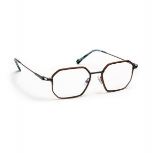 J.F. Rey JF2996 Eyeglasses, B0098 B 0098 BLACK / BROWN