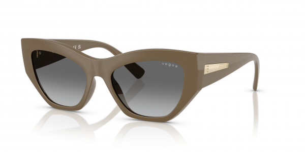 Vogue VO5607S Sunglasses