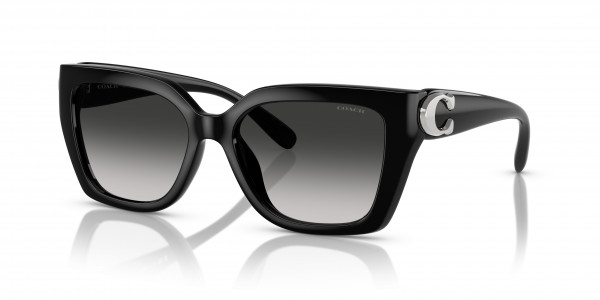 Coach HC8408F CW202 Sunglasses