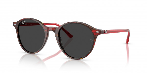 Ray-Ban RB2230 BERNARD Sunglasses