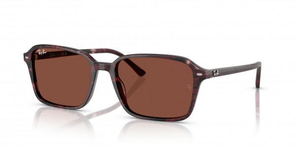 Ray-Ban RB2231 RAIMOND Sunglasses