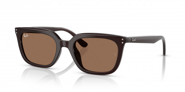 Ray-Ban RB4439D Sunglasses