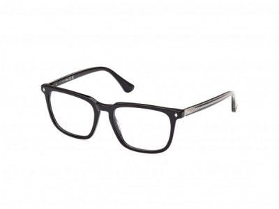 Web Eyewear WE5430 Eyeglasses