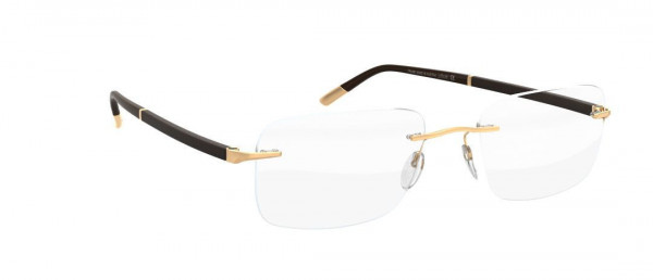 Silhouette Hinge C-2 Demo Rimless 5424 Eyeglasses