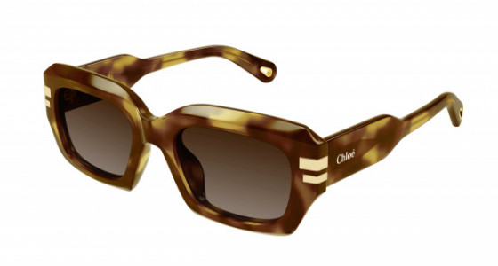 Chloé CH0256S Sunglasses, 002 - HAVANA with BROWN lenses