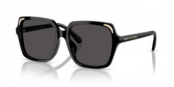 Swarovski SK6034D Sunglasses