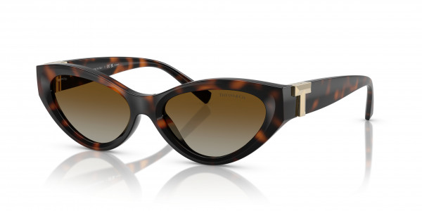 Tiffany & Co. TF4225U Sunglasses