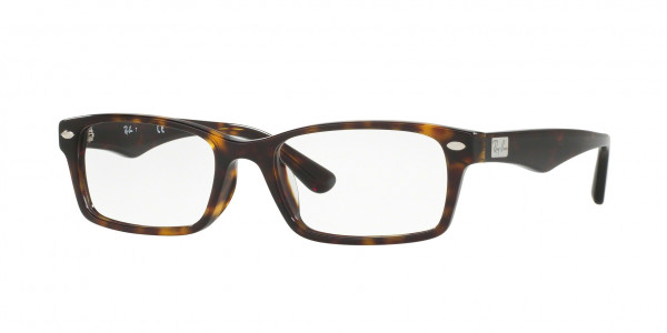 Ray-Ban Optical RX5206F Eyeglasses