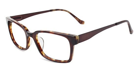 Rembrand S312 Eyeglasses, BRO Brown