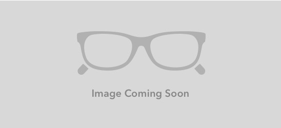 TAG Heuer TRENDS RIMLESS 8109 Eyeglasses, Dark Grey-Orange Temples (006)